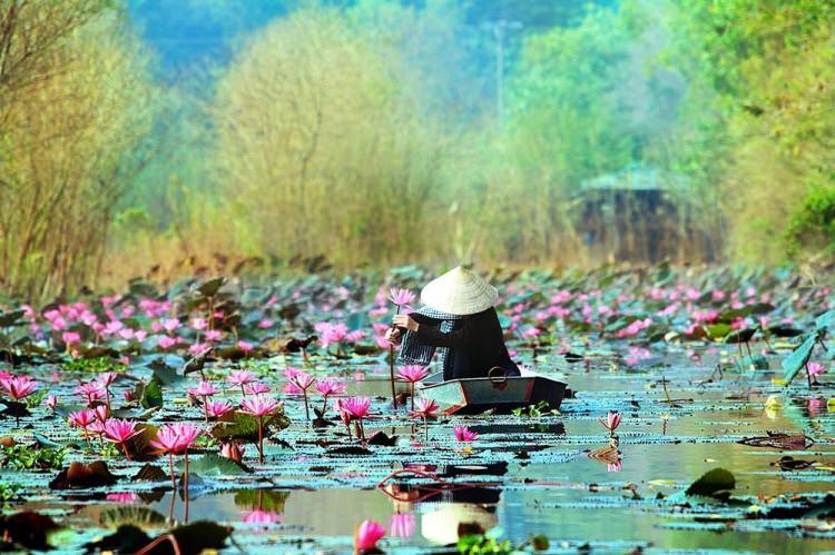 <p><strong>Vietnam</strong></p>

<p>Yemyeşil doğası ile turistlere adeta görsel bir şölen yaşatan Vietnam, farklı kültürü ve insan profili ile görülmeyi hak ediyor.</p>
