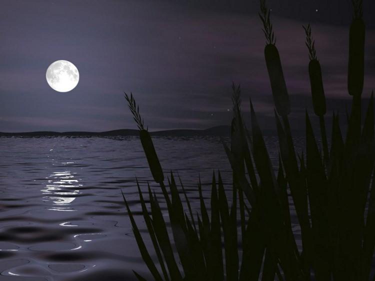 <p>Cevap: </p>

<p> </p>

<p>Guguklu saatler gece gündüz ayrımı yapmadığı için sadece 1 saat uyursunuz.</p>
