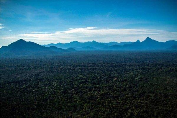 <p>Brezilya'nın bulutlarla bezenmiş en yüksek dağlarındaki Pico da Neblina (Sisin Zirvesi) Ulusal Parkı, Amazon Yağmur Ormanları'nın 2995 metre üzerinde yer alıyor. Park, turizmdeki cansızlık ve Yanomami Yerlileri'nin haklarını ihlal eden maden faaliyetleri sonucu, 2003'te ziyaretçilere kapatılmıştı. Kasım 2017'de, Brezilyalı bir grup tanınmış bilim insanına bölgede sefere çıkmaları için izin verildi. Kaynak: BBC Türkçe</p>

<p> </p>
