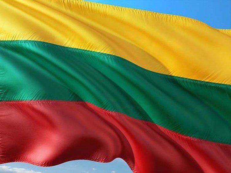<p><strong>Litvanya</strong></p>
<p>Toplam donanma varlığı: 18</p>
<p>Uçak gemisi: 0</p>
<p>Fırkateyn: 0</p>
<p>Destroyer: 0</p>
<p>Korvet: 0</p>
<p>Denizaltı: 0</p>
<p>Devriye gemisi:11</p>
<p>Mayın gemisi: 6</p>