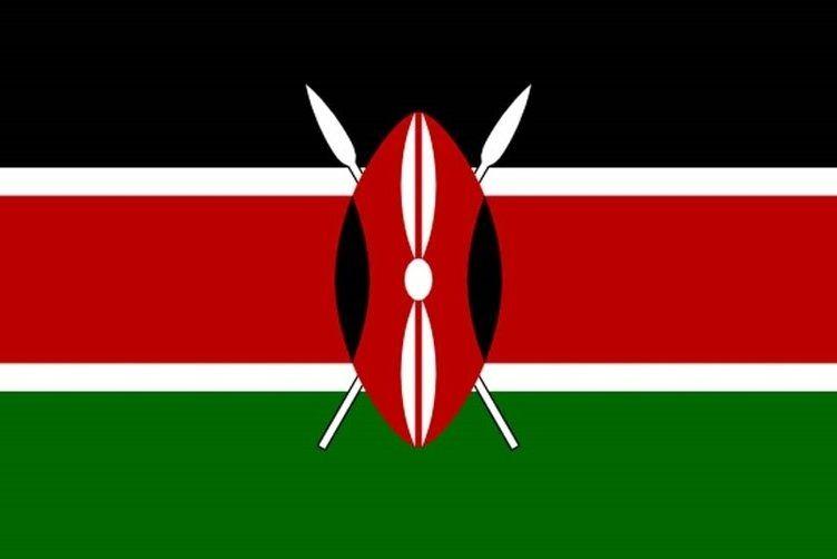 <p><strong>Kenya</strong></p>
<p>Toplam donanma varlığı: 19</p>
<p>Uçak gemisi: 0</p>
<p>Fırkateyn: 0</p>
<p>Destroyer: 0</p>
<p>Korvet: 0</p>
<p>Denizaltı: 0</p>
<p>Devriye gemisi: 6</p>
<p>Mayın gemisi: 0</p>