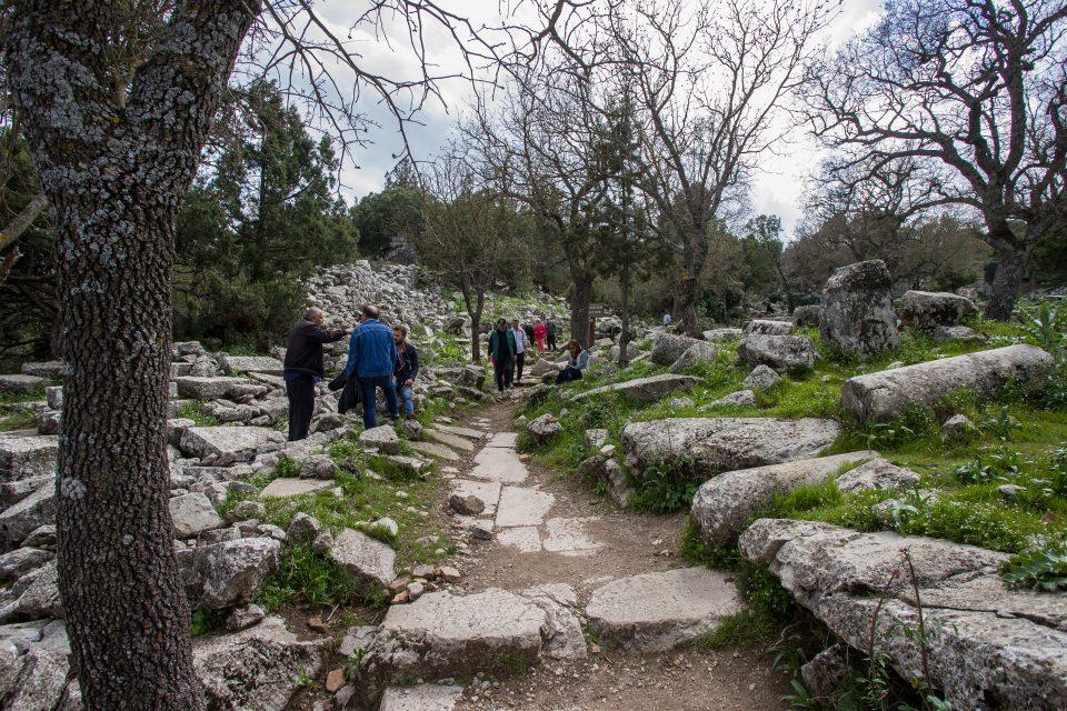 <p>Termessos için tek duamız onun diğer tüm metropollerden öte doğayla sarmallanmış derin tarihsel kültürel resmiyle varlığını sürdürmesidir. Bugün Antalya Müzesi’nin temizlik çalışmalarından öteye geçilmemiş olması sevindiricidir."</p>