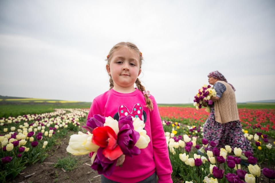 <p>Projenin istihdam yönüne değinen Karaağaçlı, köylülerin lale yetiştiriciliğinden daha fazla gelir elde ettiğini, istihdam sağlandığını ve bunu her geçen gün arttırmayı hedeflediklerini dile getirdi.</p>
