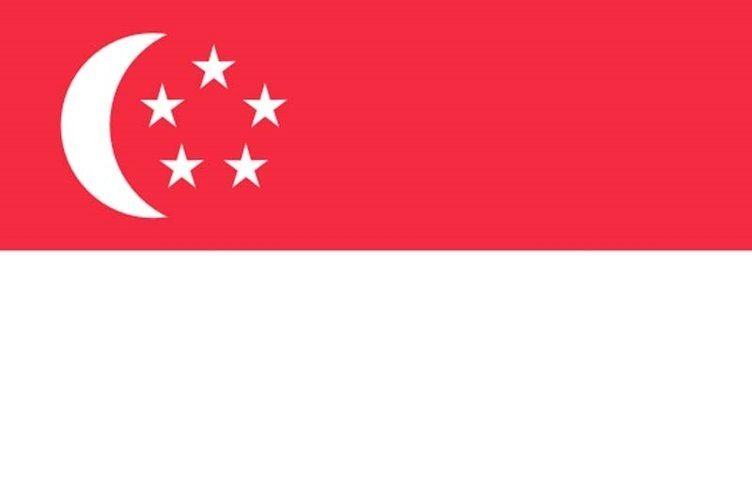 <p><strong>Singapur</strong></p>
<p>Toplam donanma varlığı: 40<br />
Uçak gemisi: 0<br />
Fırkateyn: 6<br />
Destroyer: 0<br />
Korvet: 6<br />
Denizaltı: 6<br />
Devriye gemisi: 11<br />
Mayın gemisi: 2</p>