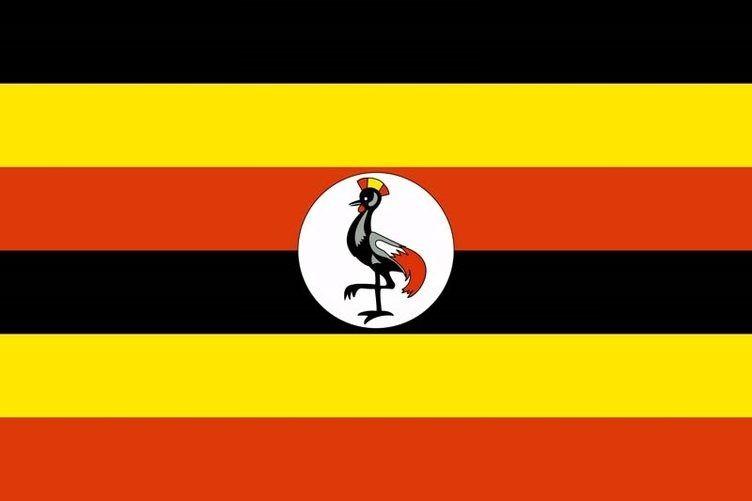 <p><strong>Uganda</strong></p>

<p> </p>

<p>Toplam donanma varlığı: 8</p>

<p>Uçak gemisi: 0</p>

<p>Fırkateyn: 0</p>

<p>Destroyer: 0</p>

<p>Korvet: 0</p>

<p>Denizaltı: 0</p>

<p>Devriye gemisi: 8</p>

<p>Mayın gemisi: 0</p>
