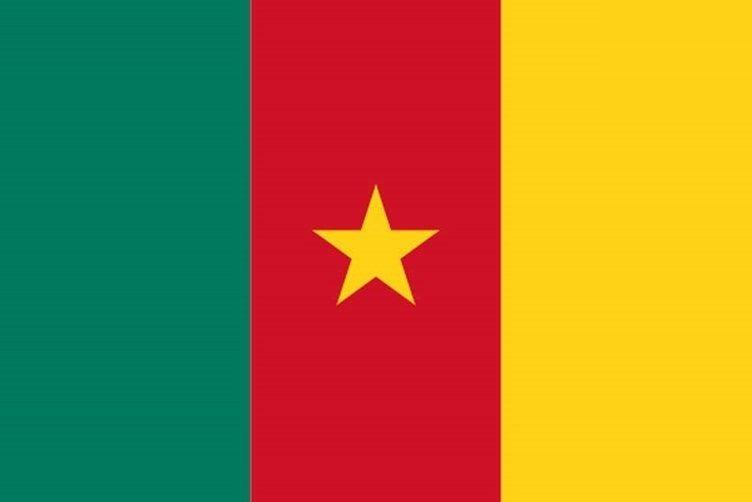 <p><strong>Kamerun</strong></p>
<p>Toplam donanma varlığı: 64<br />
Uçak gemisi: 0<br />
Fırkateyn: 0<br />
Destroyer: 0<br />
Korvet: 0<br />
Denizaltı: 0<br />
Devriye gemisi: 9<br />
Mayın gemisi: 0</p>