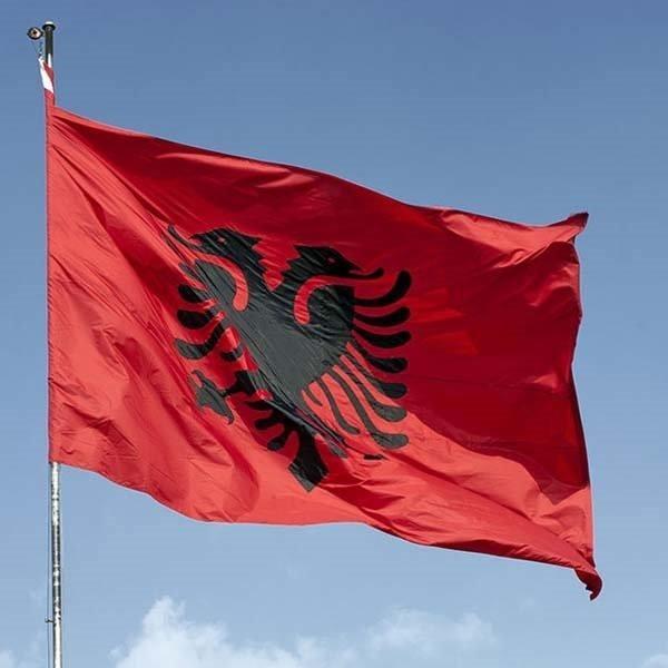 <p><strong>Arnavutluk</strong></p>
<p>Toplam donanma varlığı: 38<br />
Uçak gemisi: 0<br />
Fırkateyn: 0<br />
Destroyer: 0<br />
Korvet: 0<br />
Denizaltı: 0<br />
Devriye gemisi: 28<br />
Mayın gemisi: 2</p>