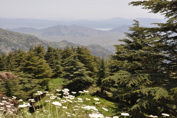 <p>Gaziantep’in doğal güzellikleri arasındaki yayla, İslahiye ilçesinin Altınüzüm beldesine 20 kilometre mesafede yer alır.</p>
