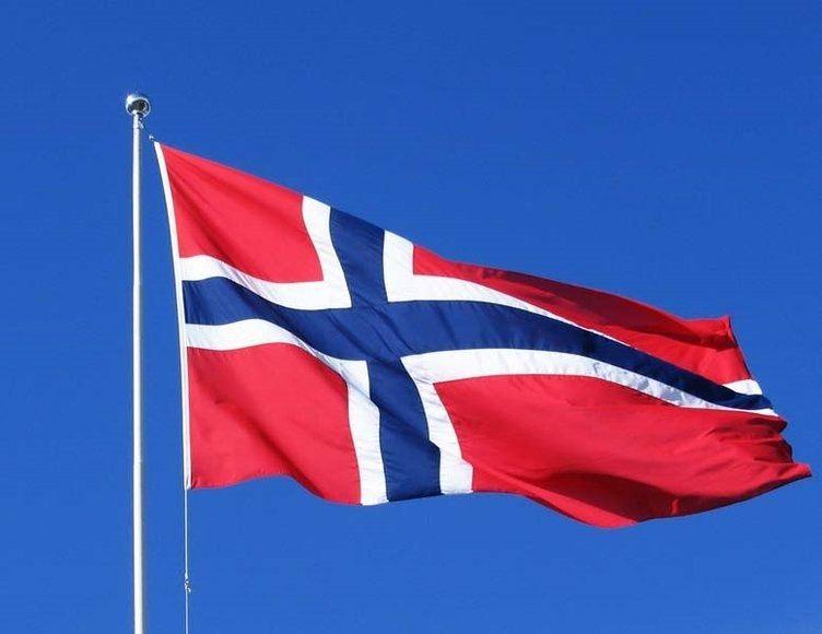 <p><strong>Norveç</strong></p>
<p>Toplam donanma varlığı: 62<br />
Uçak gemisi: 0<br />
Fırkateyn: 5<br />
Destroyer: 0<br />
Korvet: 0<br />
Denizaltı: 6<br />
Devriye gemisi: 16<br />
Mayın gemisi: 9</p>