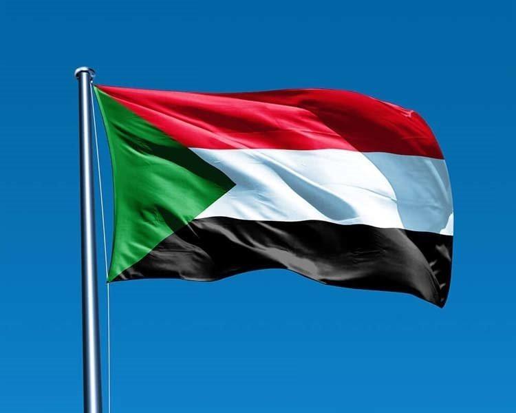 <p><strong>Sudan</strong></p>
<p>Toplam donanma varlığı: 18</p>
<p>Uçak gemisi: 0</p>
<p>Fırkateyn: 0</p>
<p>Destroyer: 0</p>
<p>Korvet: 0</p>
<p>Denizaltı: 0</p>
<p>Devriye gemisi: 12</p>
<p>Mayın gemisi: 0</p>