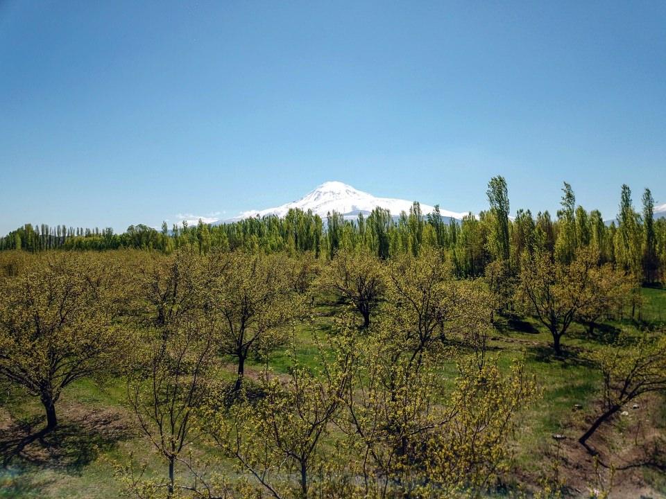 <p> Iğdır'daki İrem Bağları</p>
