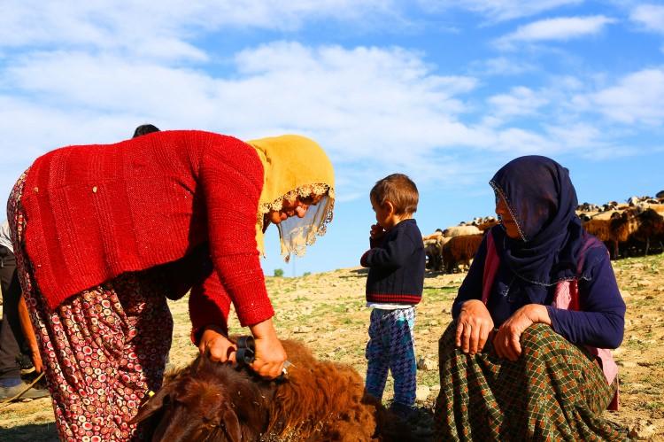 <p>Akranlarına göre hayatın zorluğuyla küçük yaşta karşılaşan 11 yaşındaki Zeynep Barut, bir yandan 2 yaşındaki kardeşine bakıyor diğer yandan annesinin yardımına koşuyor.</p>
<p> </p>