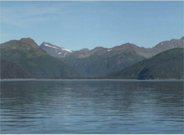 <p>Ve 2004 yılının ağustos ayında çekilen bir fotoğrafı.</p>

<p> </p>
