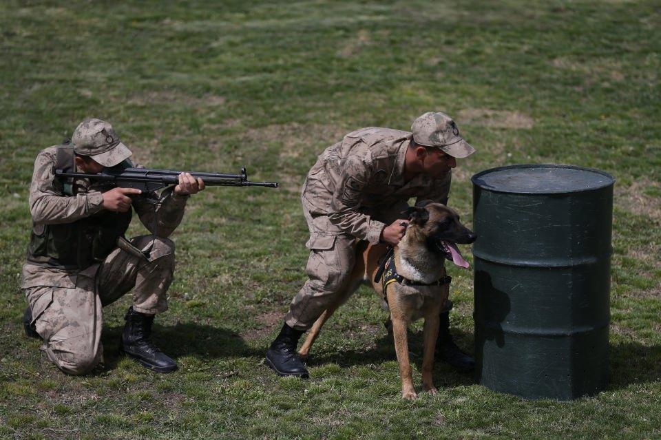 <p>JAKEM'de eğitilerek birliklere gönderilen yaklaşık 45 köpek, Fırat Kalkanı ve Zeytin Dalı harekatları bölgelerinde patlayıcılarla mücadelede etkin rol alıyor.</p>

<p> </p>

