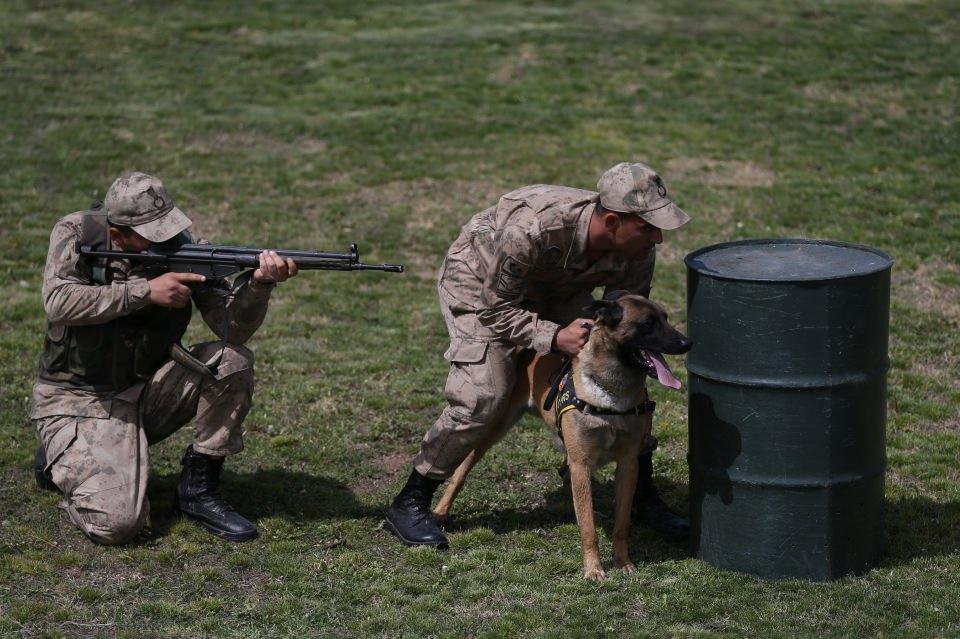 <p>JAKEM'de eğitilerek birliklere gönderilen yaklaşık 45 köpek, Fırat Kalkanı ve Zeytin Dalı harekatları bölgelerinde patlayıcılarla mücadelede etkin rol alıyor.</p>
<p> </p>