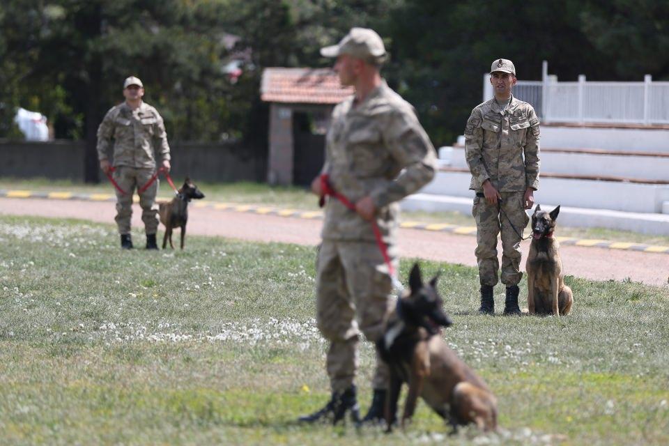 <p><strong>Personelin iş ortağı</strong></p>
<p>Köpek Eğitim Kurs Bölük Komutanı Jandarma Teğmen Kazım Kayabaşı, AA muhabirine yaptığı açıklamada, merkezde dayanıklılık, oyunculuk, saldırganlık, sosyalizasyon gibi karakteristik özellikleri bulunan köpeklerin eğitime alındığını ve başarı göstermesi halinde görevlendirildiğini belirtti.</p>