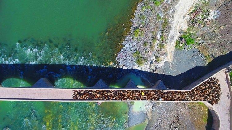 <p>Şanlıurfa'dan 28 gün önce yola çıkan 35 yaşındaki çoban Şeref Demiral, AA muhabirine, hayatını sürülerin peşinde geçirmenin zorluğunu aktardı.</p>

<p> </p>

