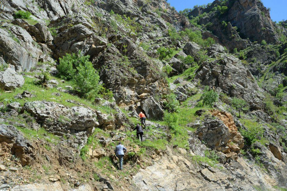 <p><strong>"Mağara oluşurken insanlık dünyada yoktu"</strong></p>
<p>Güngör, bu tür yerlerin özellikle Bitlis civarında sürdürülebilir kalkınma modeli için çok iyi bir ekonomik role sahip olduğunu, bunların araştırılarak turizme açılabileceğinin ya da açılamayacağının daha net ortaya çıkarılması gerektiğini belirtti.</p>