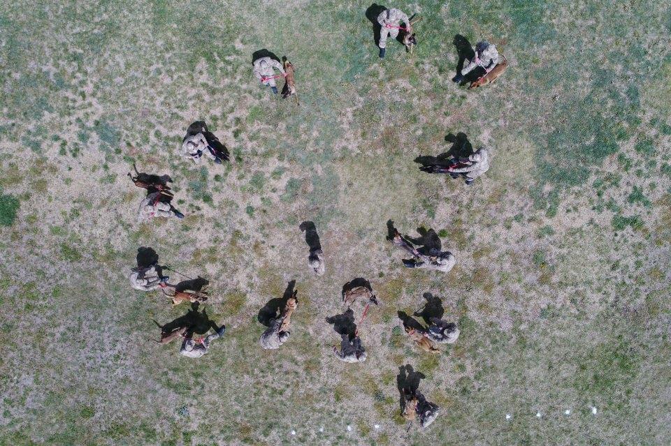 <p>Köpeğin, arama konusunda uzmanlaşmasının ardından, bakıcısı personel ile askeri birliğe sevki gerçekleştiriliyor. Uzun ve hassas eğitimlere tabi tutulan köpekler, görev birliklerinde de sürekli eğitiliyor ve 9 yaşına ulaştığında emekli ediliyor.</p>

<p> </p>
