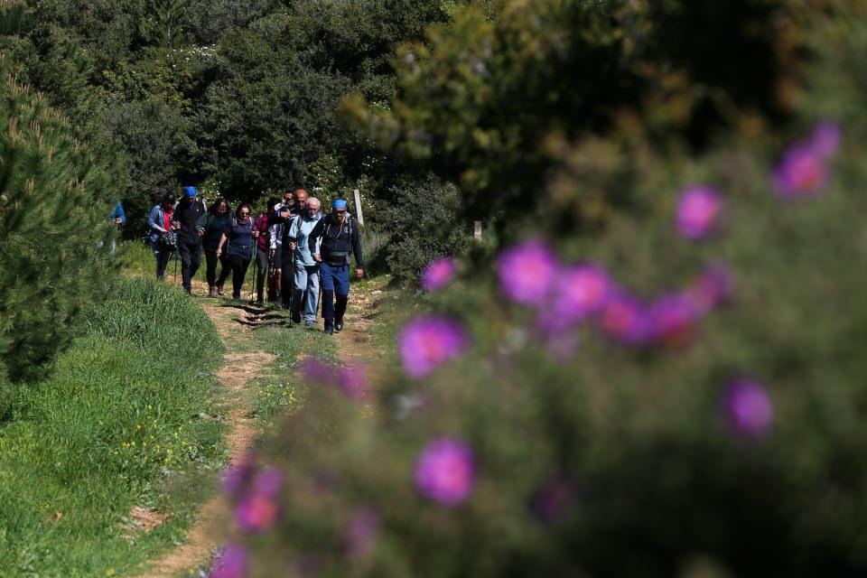 <p>Zaman zaman asfalt, toprak yol, patika, kumsal ya da tarihi kalıntılar arasında yolculuk yapan doğaseverler, özellikle ilkbahar mevsiminde rengarenk kır çiçekleri ve meyve öncesi çiçek açmış ağaçlar arasında yürüyor.</p>
