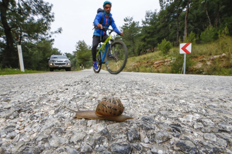 <p>Muğla’nın deniz, güneş, kum üçgeninden çıkarak artık 800 kilometrelik yürüyüş ve adrenalin dolu parkuruyla ziyaretçilerini ağırladığını anlatan Duralı, bu parkurlara son yıllarda yurt dışından da çok sayıda ziyaretçinin geldiğini anlattı.</p>

<p> </p>
