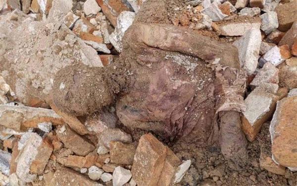 'İran'da bulunan mumya Rıza Şah'a ait'