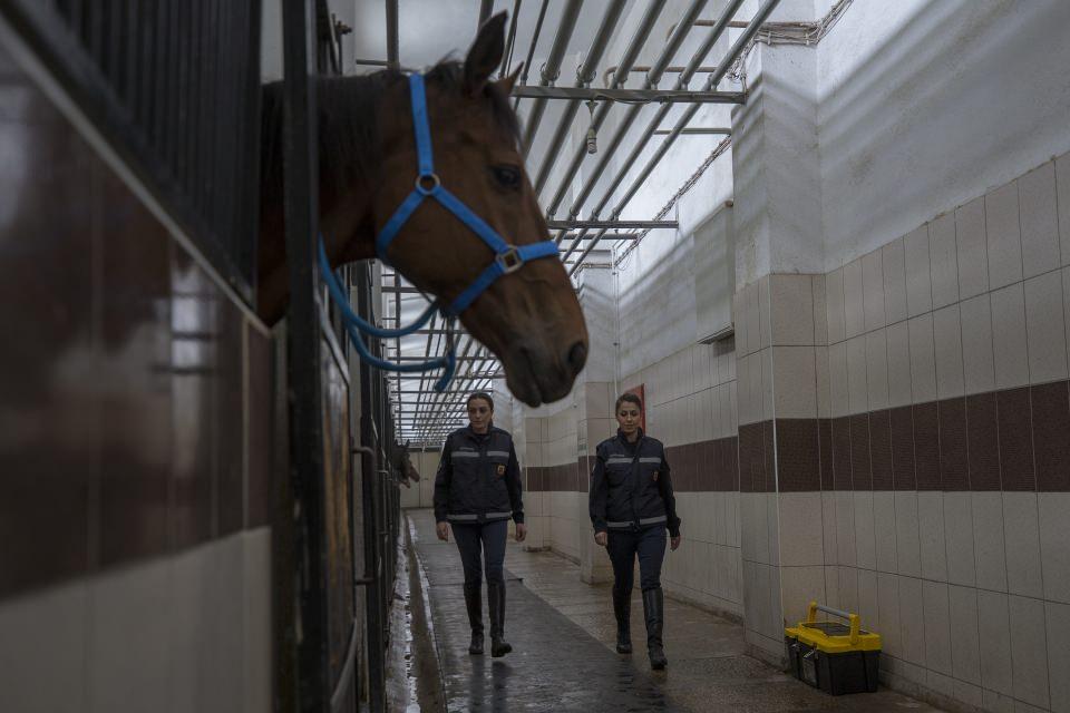 <p>Jandarma At ve Köpek Eğitim Merkezi (JAKEM) Komutanlığı bünyesindeki atlı birliklerde görev yapan iki kadın astsubay, "ekip" olarak gördükleri atların bakım ve eğitimini üstleniyor.</p>