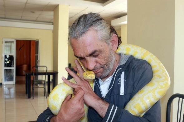 <p>Bursa’dan, Adıyaman’a, 4 metre uzunluğundaki piton yılanla gelen sirk sanatçısı, 9 yıldır beslediği pitonunu çocuğu gibi seviyor.</p>
