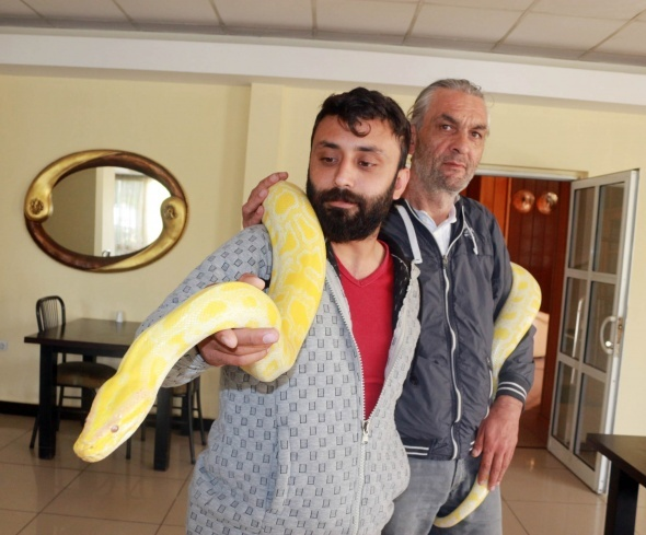 <p>Sürekli omzunda taşıdığı 4 metre uzunluğunda ve 9 yaşında olan pitonla her yere gittiğini söyleyen Turan, Paşa’nın hayatının bir parçası olduğunu, onu evladı gibi beslediğini vurguladı.</p>
<p> </p>
