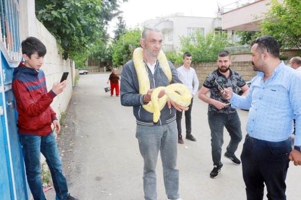 <p>Evinde beslediği pitonu 7 yaşındaki Can ve 9 yaşındaki Melek isimli çocuklarının da çok sevdiğini, çoğu zaman onunla oynadıklarını söyleyen Turan, hayvanlardan kimseye zarar gelmeyeceğini belirtti.</p>

<p> </p>

