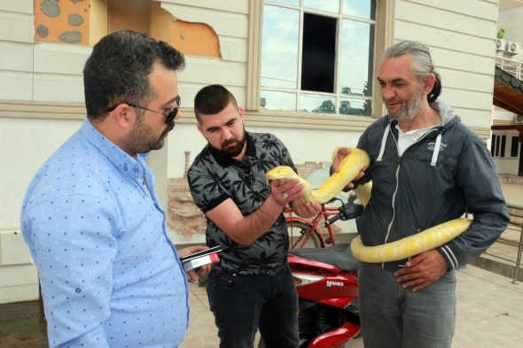 <p>Daha önceden evinde timsah beslediğini de kaydeden sirk sanatçısı Turan, Adıyaman’a sirk için geldiklerini ve hafta sonu Gölbaşı, Besni ve Kahta ilçesinde gösteriler yapacaklarını ifade etti. </p>
<p> </p>