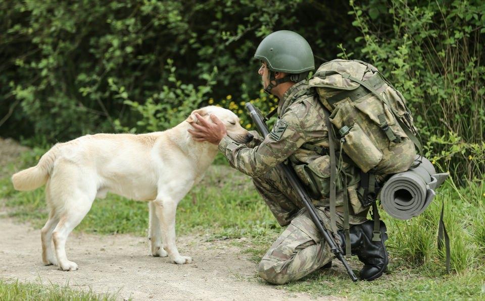 <p>"Köpek eğiticisi ya da kullanıcısı olacak personelin mutlaka köpekleri sevmesi, ilgi duyması ve onlarla arkadaş olabilecek nitelikle davranması, ilk aradığımız özellikler. </p>