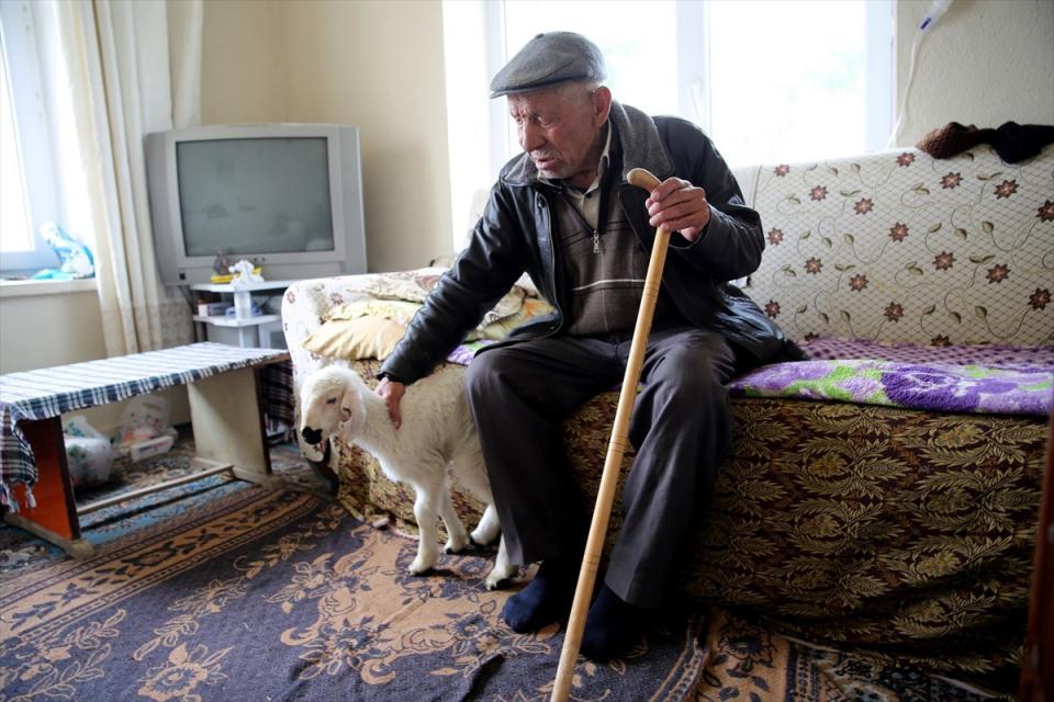 <p>Baba Varol, "Eskiden buralar cennetti. Herkes koyun kuzu besler, geçinip giderdi. İğne atsan yere düşmezdi. Bu evlerde boş yer yoktu. Ama patates para etmeye başlayınca, burada tarım imkanı olmadığı için insanlar ilçeye taşındı. Son 10 yıldır da bizden başka kimse kalmadı. Biz de eski okulu satın aldık burada yaşıyoruz." dedi.</p>
<p> </p>