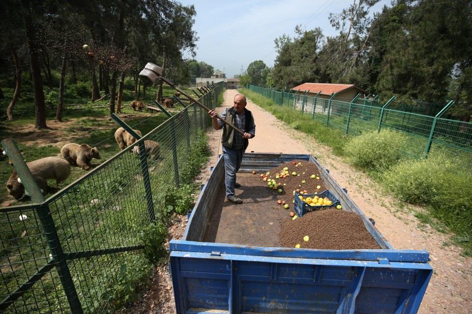 <p><strong>Yakın çevresinin yaptığı işi merak ettiğini anlatan İbil, şöyle devam etti:</strong></p>
<p>"Hayvan sevgisi olmayan burada çalışamaz. Çocuklarım yaptığım işten memnun oluyor. </p>