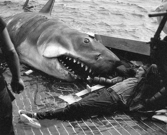 <p>"Jaws" film seti</p>
