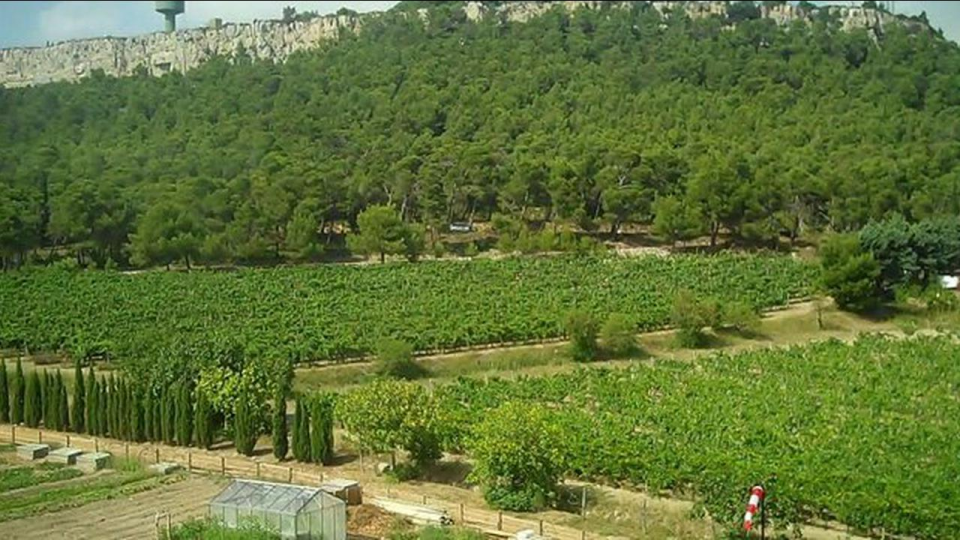 Vatandaşı rahatlatacak ikinci paket de geliyor