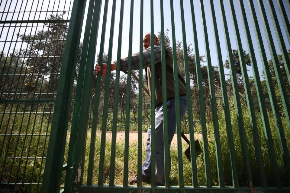 <p>Ülkenin dört bir tarafında yaralananlar kadar özellikle annesiz kalan yavruların getirilip özenle büyütüldüğü barınaktaki ayılara, tel örgüler ardından 15 yıldır İbrahim İbil bakıcılık yapıyor.</p>

<p> </p>
