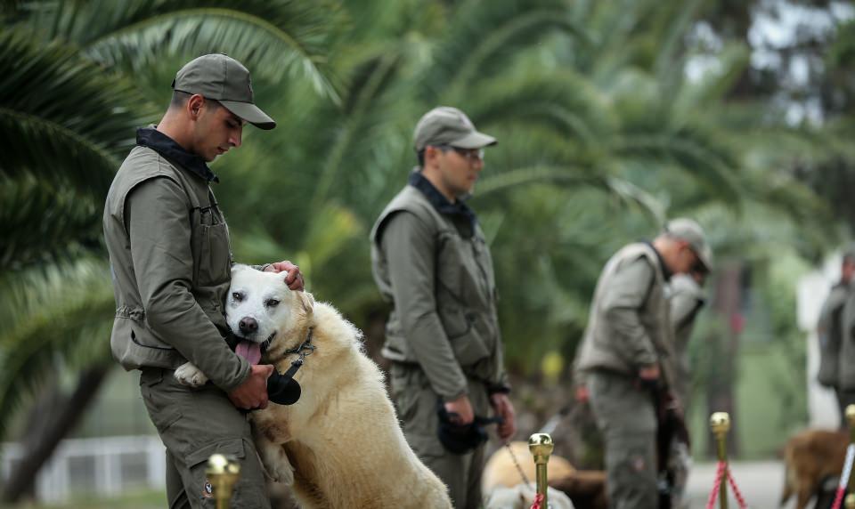 <p><strong>Fırat Kalkanı ve Zeytin Dalı harekatlarında görev yaptılar</strong></p>
<p> </p>
<p>Üsteğmen İzgi, köpeklerin çok duygusal hayvanlar olduğunu dile getirerek, şöyle devam etti:</p>