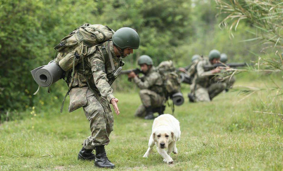 <p>20 ay süren süreci, bir çocuğu anaokulundan alıp üniversiteden mezun etmek gibi tanımlayabiliriz. Eğittiğimiz bütün köpekler Türkiye'nin dört bir yanında görev yapıyor. </p>