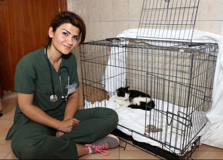 <p><strong>'SÜTÜ HALA MEVCUT OLAN BİR ANNEMİZ VARDI'</strong></p>
<p>Nazlı'nın emzirmeyi kestiği kendi yavruları olduğunu aktaran Mehbare Seda Aytekin, "Emzirme dönemi biten kedilerimizi arka bahçemizde barındırmaya devam ediyoruz. Kısırlaştırma operasyonlarını yaptıktan sonra kedi evlerimize salıyoruz. Neyse ki emzirmeyi henüz bitirmiş, ama sütü hala mevcut olan bir annemiz vardı. O da bize yardımcı oldu" diye konuştu.</p>