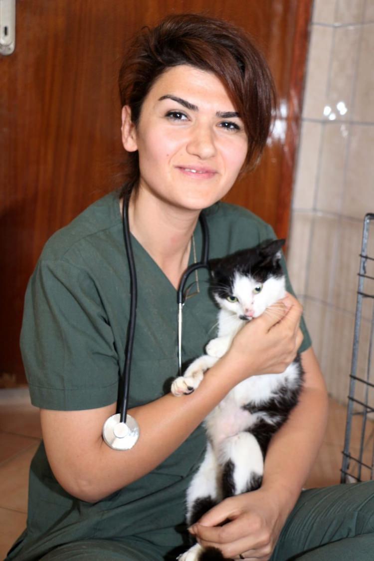 <p><strong>'KEMER'İN YILDIZ ANNESİ, TABİİ Kİ NAZLI KIZIMIZ OLDU'</strong></p>
<p>Kirpileri mama yer vaziyete gelene kadar bu şekilde beslemeye devam edeceklerini vurgulayan Aytekin, "Barınağımızda kalacaklar. Daha sonra dışarıya, yani doğaya adapte olabilecekleri döneme ulaştıklarında doğaya salacağız. Bu Anneler Günü'nde Kemer'in yıldız annesi, tabii ki Nazlı kızımız oldu. Tüm mamaları ve ödülleri o hak etti" dedi.</p>