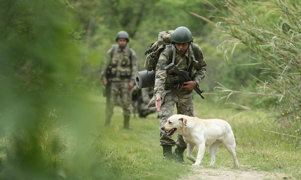 <p>Ağırlıklı olarak terörle mücadele harekat bölgelerinde görev alıyorlar. Önceki yıllarda yapılan meskun mahal operasyonları, geçen yıl gerçekleştirilen Fırat Kalkanı Harekatı'nda köpeklerimiz başarıyla görev yaptı ve Zeytin Dalı Harekatı bölgesinde de köpekli 35 timimiz başarıyla görevlerine devam ediyor." </p>
<p> </p>