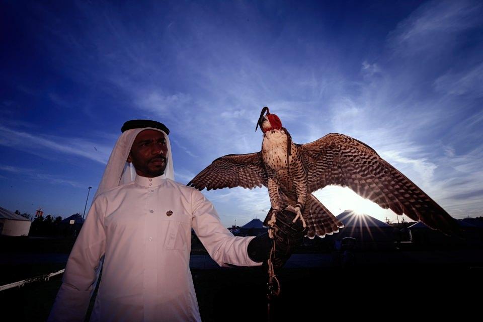 <p>Katar'da şahinlerle yerel halk arasındaki güçlü bağlar, 3 bin yıl öncesine dayanıyor. Gökyüzünün en iri yırtıcılarından biri olan şahinler, ilk zamanlarda av amaçlı kullanılsa da bu azametli kuşun çevikliği, Katar halkını onları yarış amaçlı kullanmaya teşvik etti.</p>

