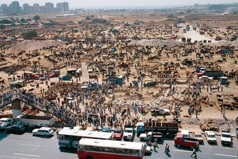 <p>Fotoğrafta bugün çok katlı binaların, metro istasyonunun yer aldığı Şirinevler'in karşısındaki Ataköy 7. ve 8. kısımların bulunduğu 1985 yılında çekilmiş fotoğraf görülüyor...</p>
