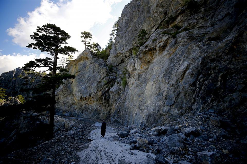 <p><strong> "Yolun 20 kilometresi tünellerle geçilecek"</strong></p>

<p>Antalya Valisi Münir Karaloğlu, AA muhabirine yaptığı açıklamada, Antalya-Alanya sahilini iç bölgelere bağlayan en kısa yolun "Kuş Yuvası" olduğunu söyledi.</p>
