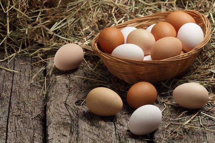 <p><span style="color:#800080"><strong>YUMURTA</strong></span></p>

<p>Yumurta, vücudun ihtiyacı olan; protein, vitamin, mineral, sağlıklı yağlar ve antioksidan bakımından oldukça zengindir. Günde bir adet tüketilen yumurta, konsantrasyonu da arttırır.</p>

