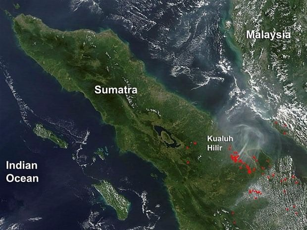 <p>Dünyanın en büyük altıncı adası olan Sumatra'da bitki örtüsünden, geleneklerine, inançlarına bağlılıklarından evliliklerine pek çok şey dünyadan bağımsız seyrediyor.</p>
