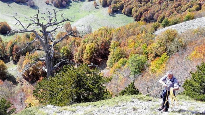 <p>Pollino Milli Parkı <br />
</p>