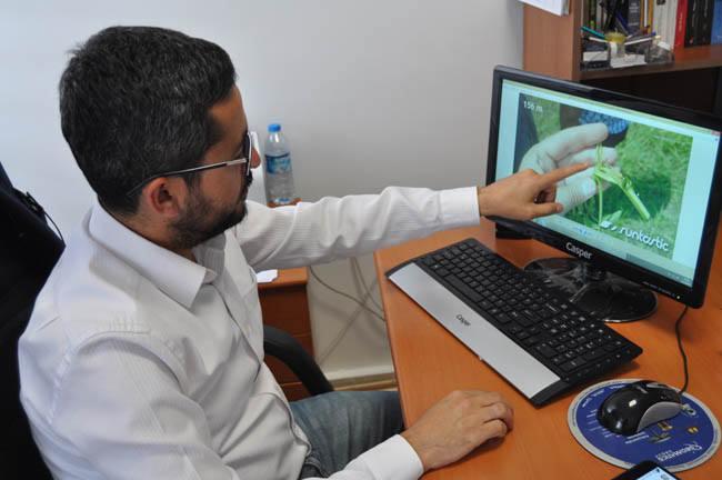 <p>Bartın Üniversitesi ile Gıda, Tarım ve Hayvancılık İl Müdürlüğü'nce yürütülen saha çalışmaları kapsamında rastlanan ceviz zararlısı böcek türü, Kırgızistan, Türkmenistan, Özbekistan, Tacikistan ve İran'da varlık gösteriyor.</p>
<p> </p>