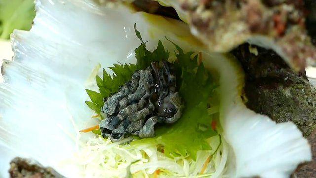<p>İşte böyle... </p>

<p> </p>
